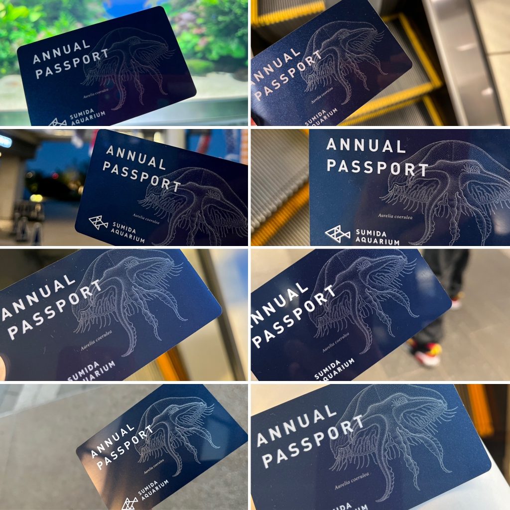 すみだ水族館　年間パスポート2枚有効期限2024年3月31日